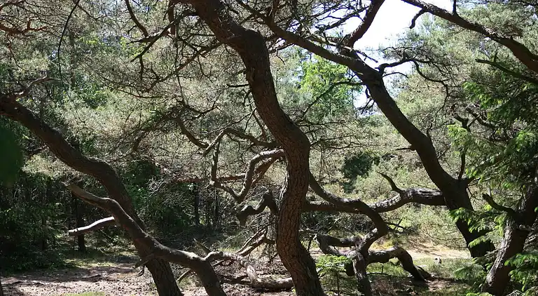 Holiday home in Melby