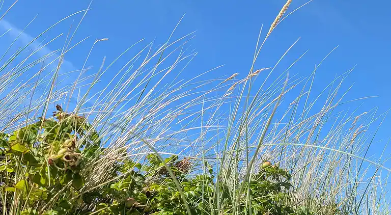 Holiday home in Melby