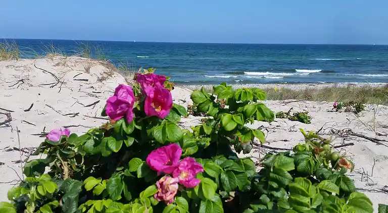 Holiday home in Melby