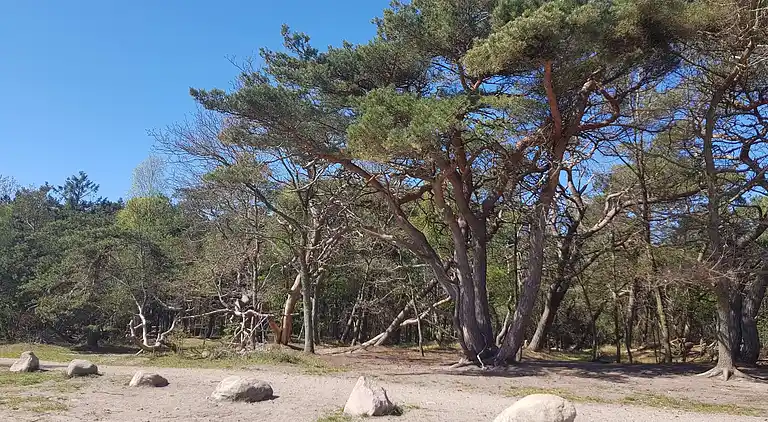 Holiday home in Melby