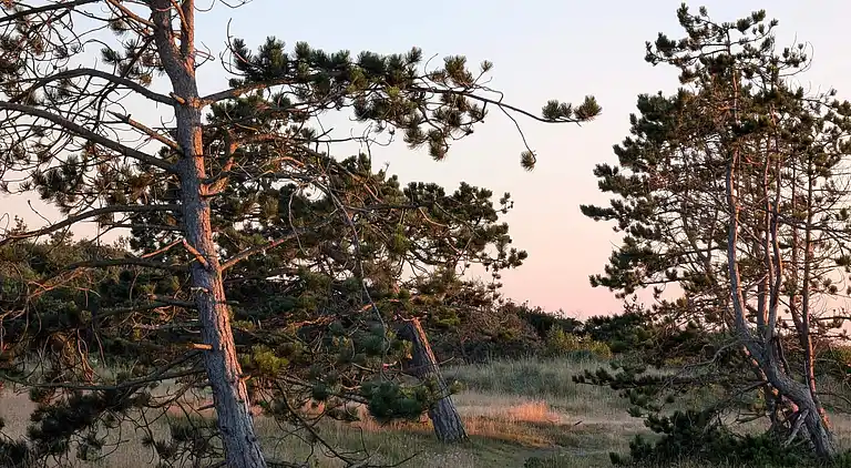 Holiday home in Melby