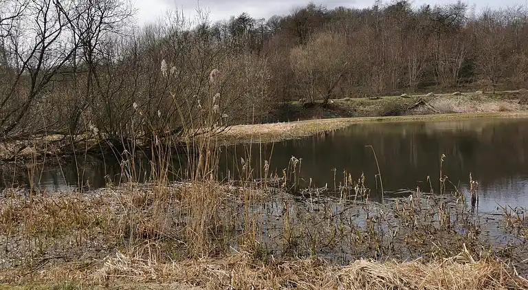 Casa vacanze in Nibe