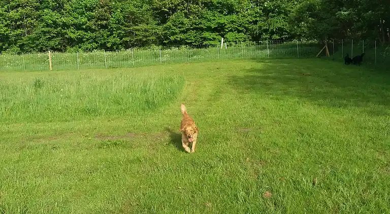 Casa vacanze in Nibe