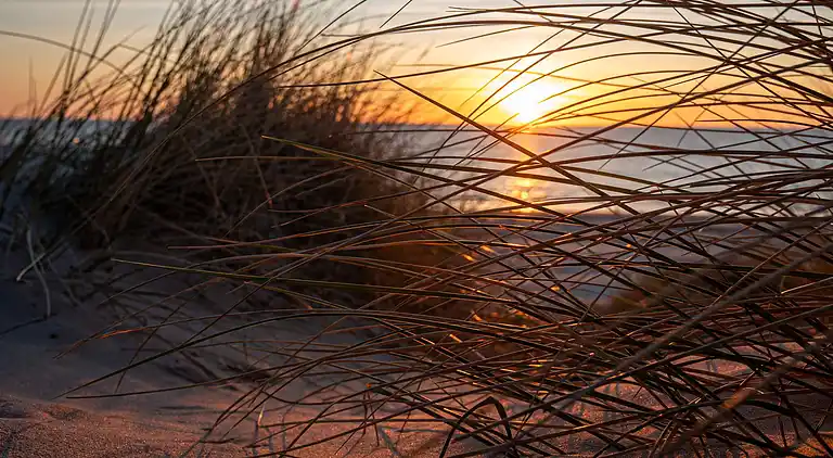 Holiday home in Blokhus
