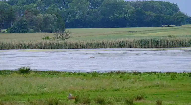 Vakantiehuis in Væggerløse