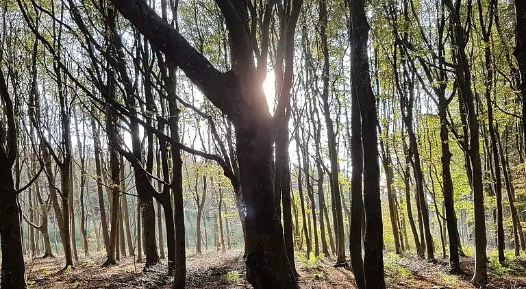 Feriebolig i Blokhus