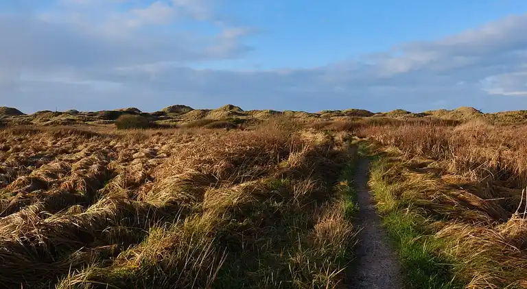 Feriebolig i Blokhus