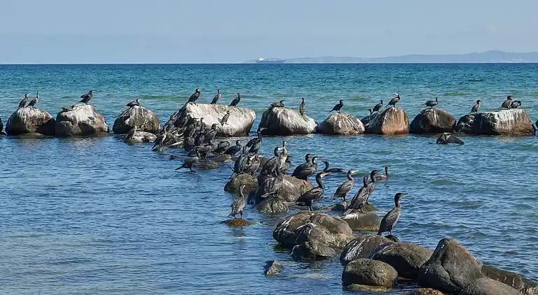 Casa de vacaciones en Gilleleje