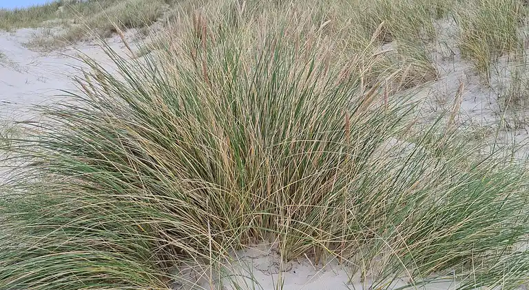 Holiday home in Pandrup