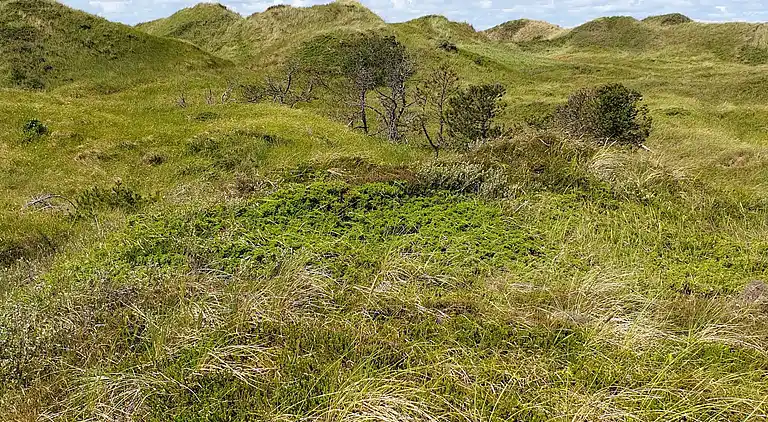 Holiday home in Pandrup