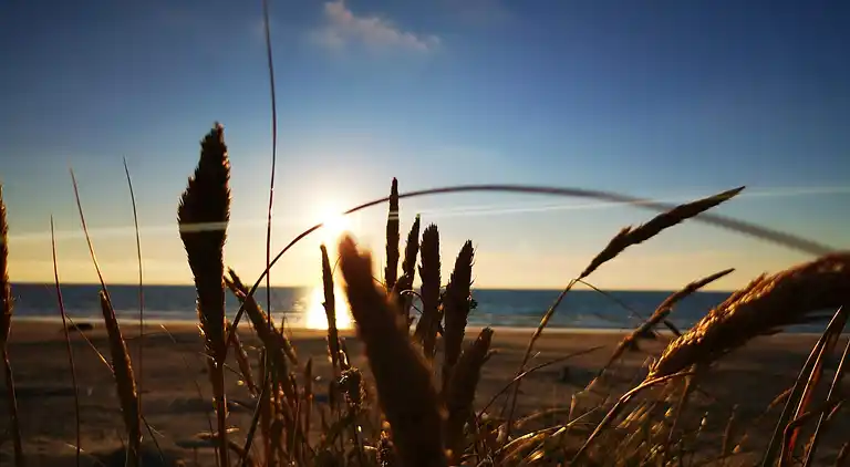 Holiday home in Pandrup