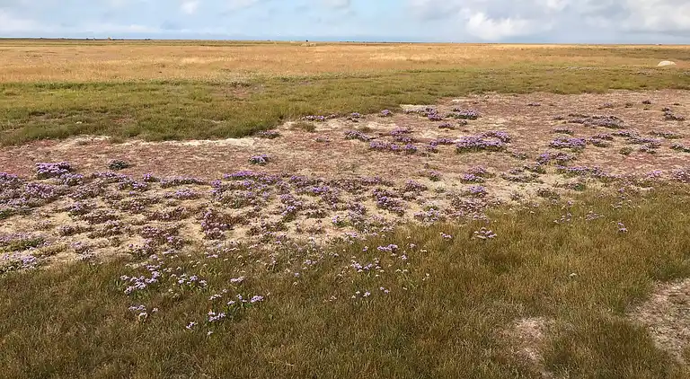 Feriebolig på Læsø