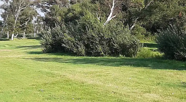 Feriebolig på Læsø