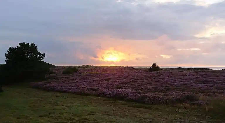 Feriebolig på Læsø