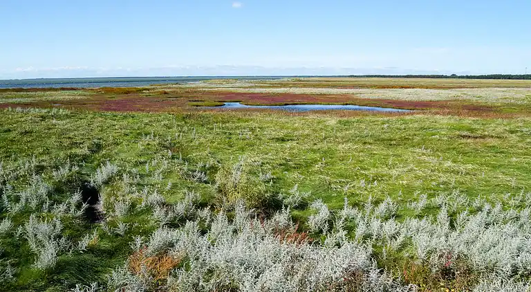 Feriebolig på Læsø