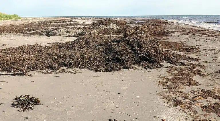 Feriebolig på Læsø