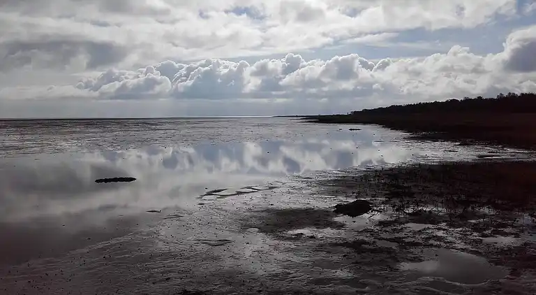 Feriebolig ved Helberskov Strand