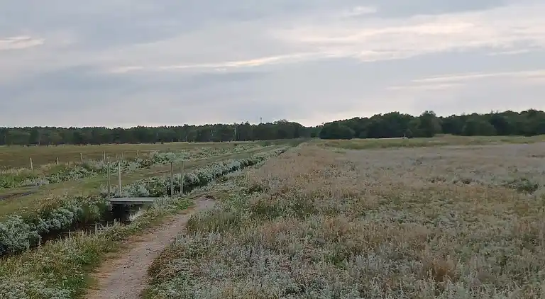 Feriebolig ved Helberskov Strand
