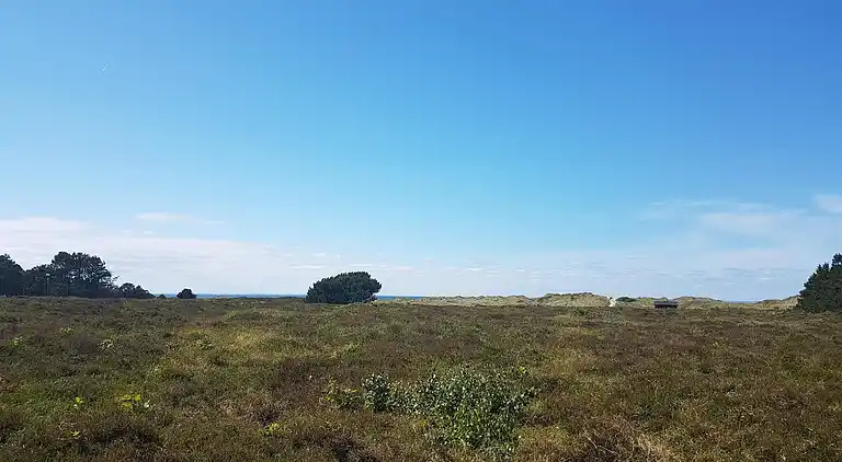 Vakantiehuis in Vesterø Havn