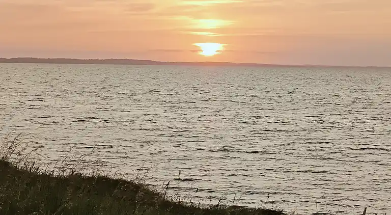 Stilvolles, energieeffizientes haus in Meeresnähe