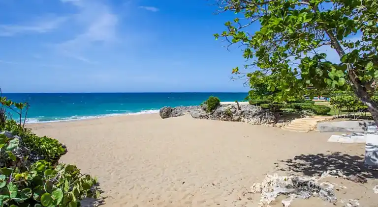 Bubble Glamping, Kingsize-Bett, wir haben 8 solcher