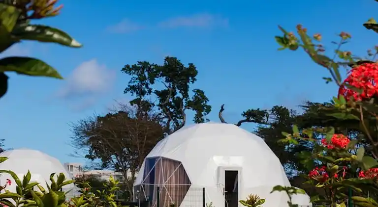 Bubble Glamping, Kingsize-Bett, wir haben 8 solcher