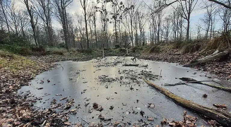 Sommerhus ved Hasmark Strand