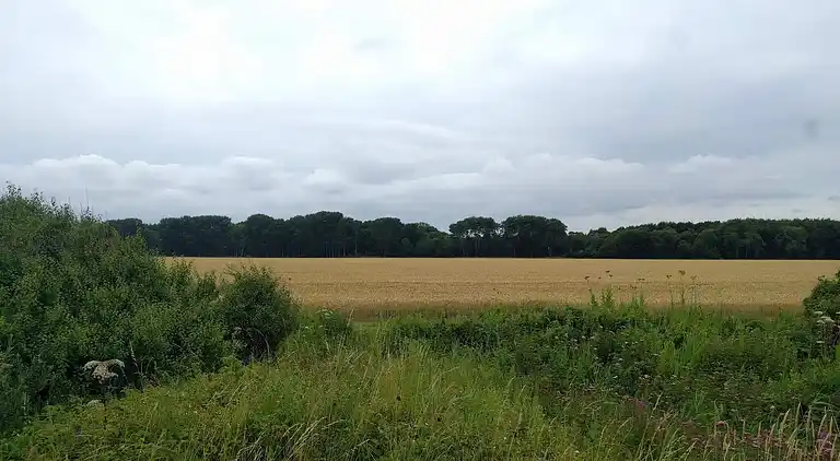 Sommerhus ved Hasmark Strand