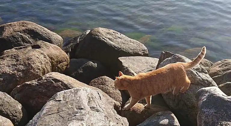 Holiday home in Karrebæksminde