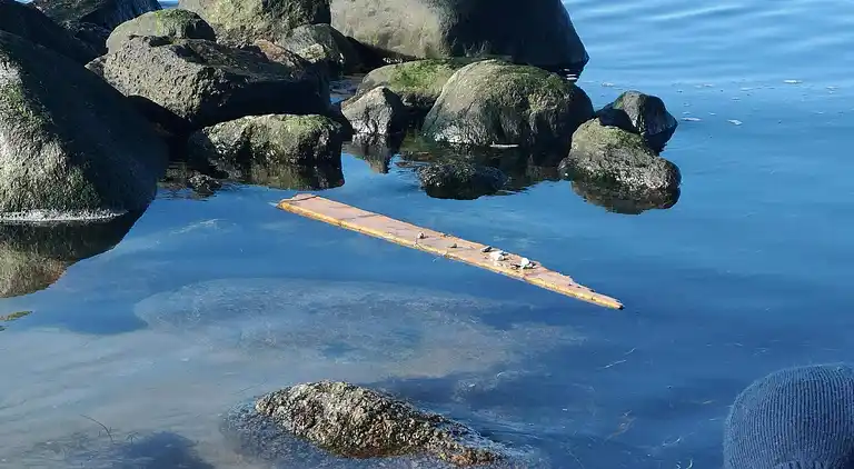 Holiday home in Karrebæksminde