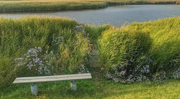 Holiday home in Karrebæksminde