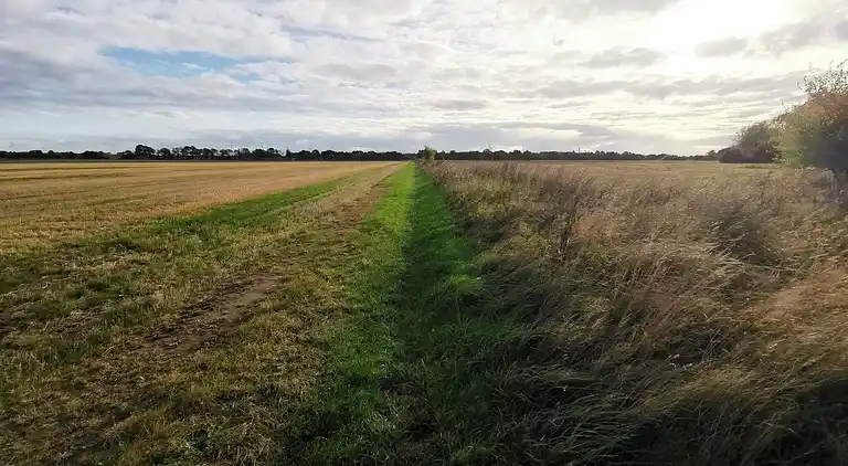 Holiday home in Dannemare