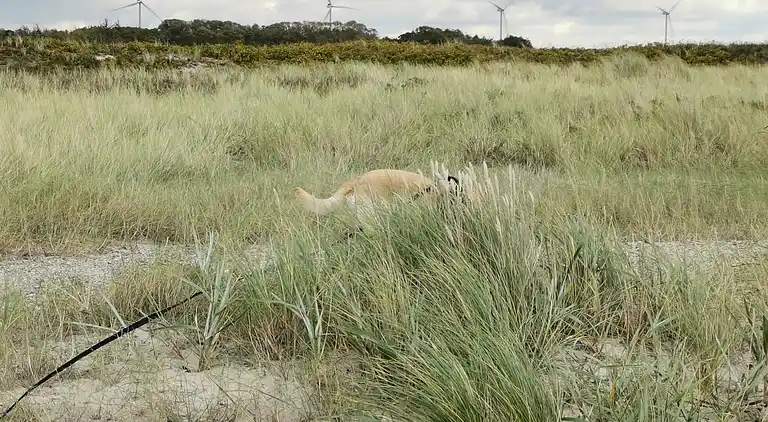 Holiday home in Dannemare