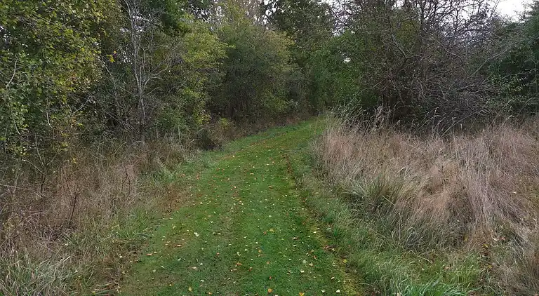 Holiday home in Dannemare