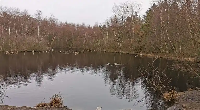 Feriebolig i Ålbæk