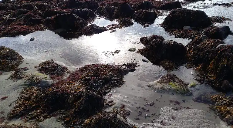 Semesterbostad i Faaborg