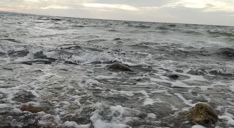 Semesterbostad i Faaborg