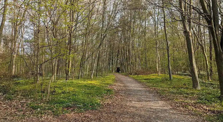 Semesterbostad i Faaborg