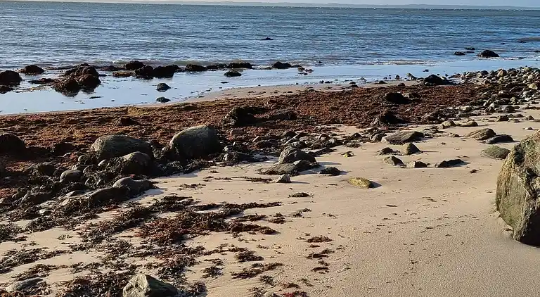 Semesterbostad i Faaborg