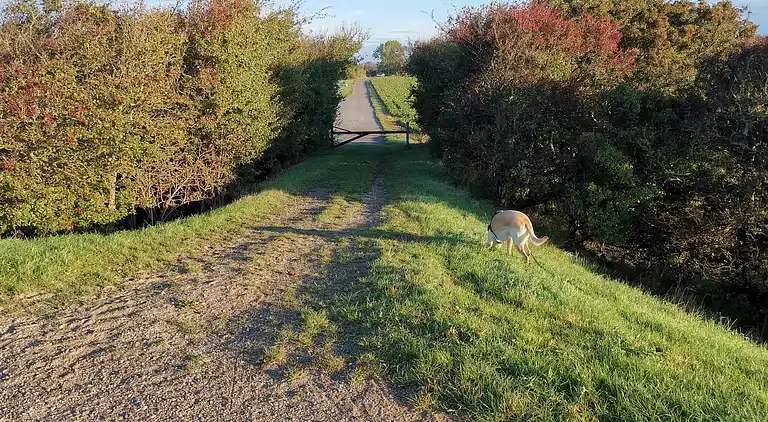 Sommerhus i Dannemare