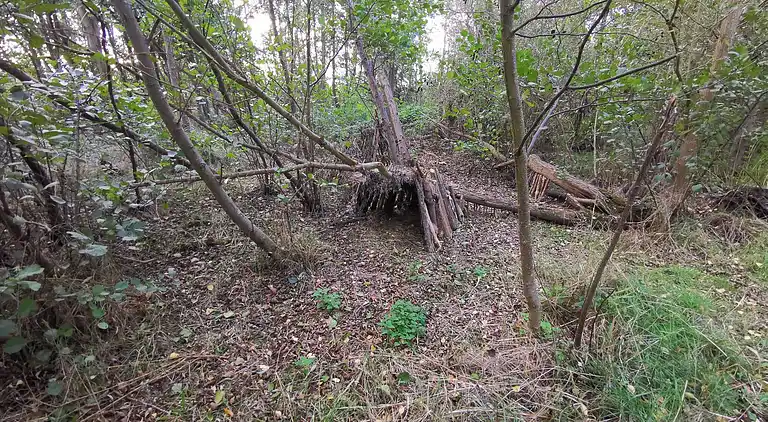 Sommerhus i Dannemare