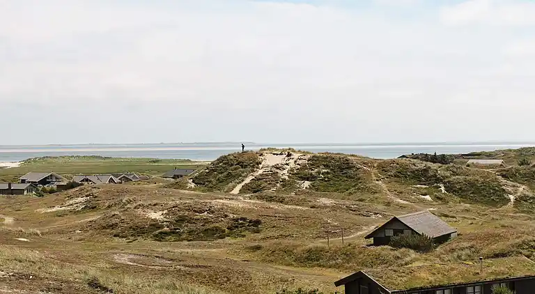 Sommerhus på Fanø