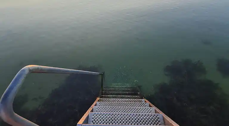 Gemütliches Ferienhaus an Fünens Nordküste