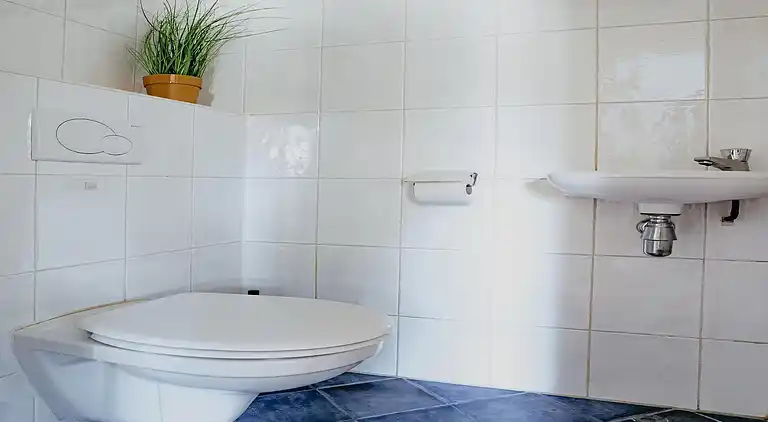 Apartment in Uitgeest