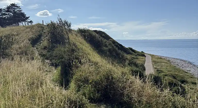 Hyggeligt sommerhus tæt på strand og natur