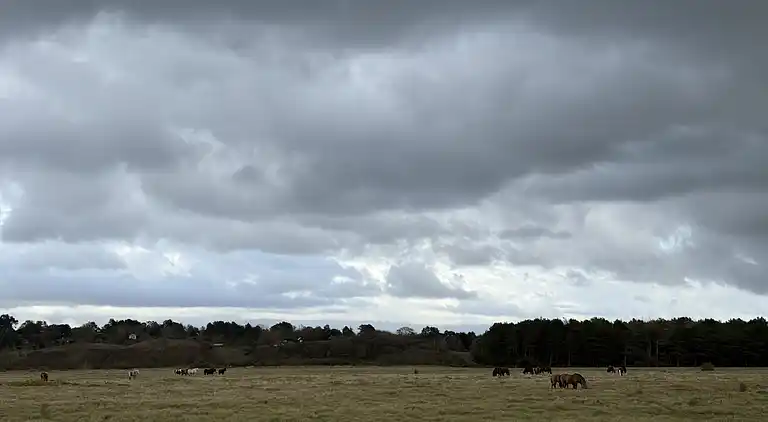 Hyggeligt sommerhus tæt på strand og natur