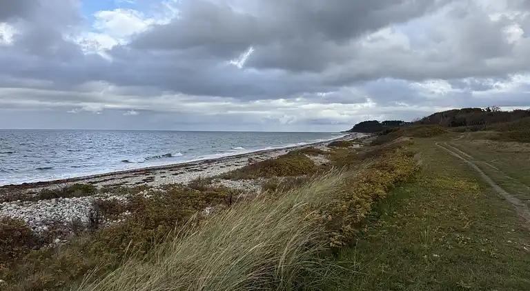 Hyggeligt sommerhus tæt på strand og natur