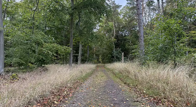 Hyggeligt sommerhus tæt på strand og natur