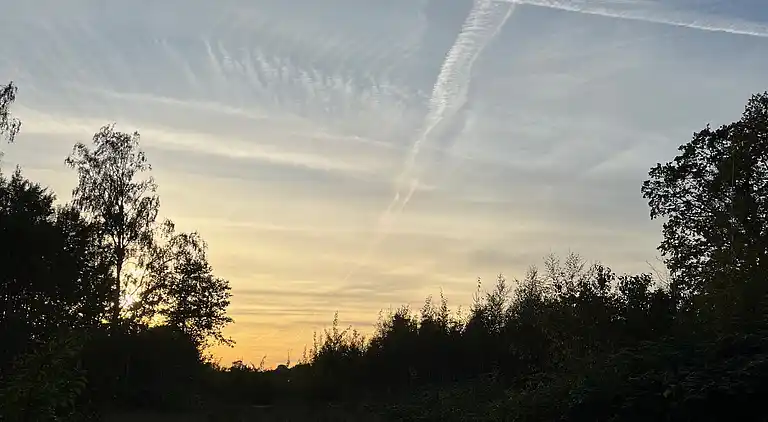 Geräumiges Ferienhaus auf großem Naturgrund