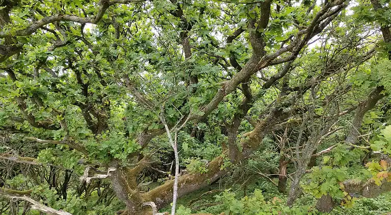 Maison de vacances en Spøttrup